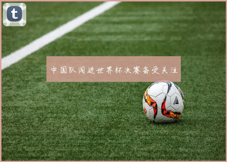 中国队闯进世界杯决赛备受关注