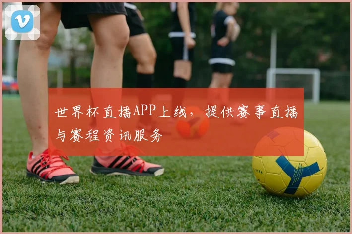 世界杯直播APP上线,提供赛事直播与赛程资讯服务