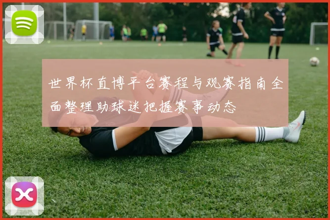 世界杯直博平台赛程与观赛指南全面整理助球迷把握赛事动态
